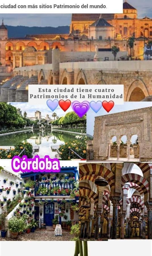 Grupo Limcotel El Paseito De Concha-Mesquita-Parking قرطبة المظهر الخارجي الصورة